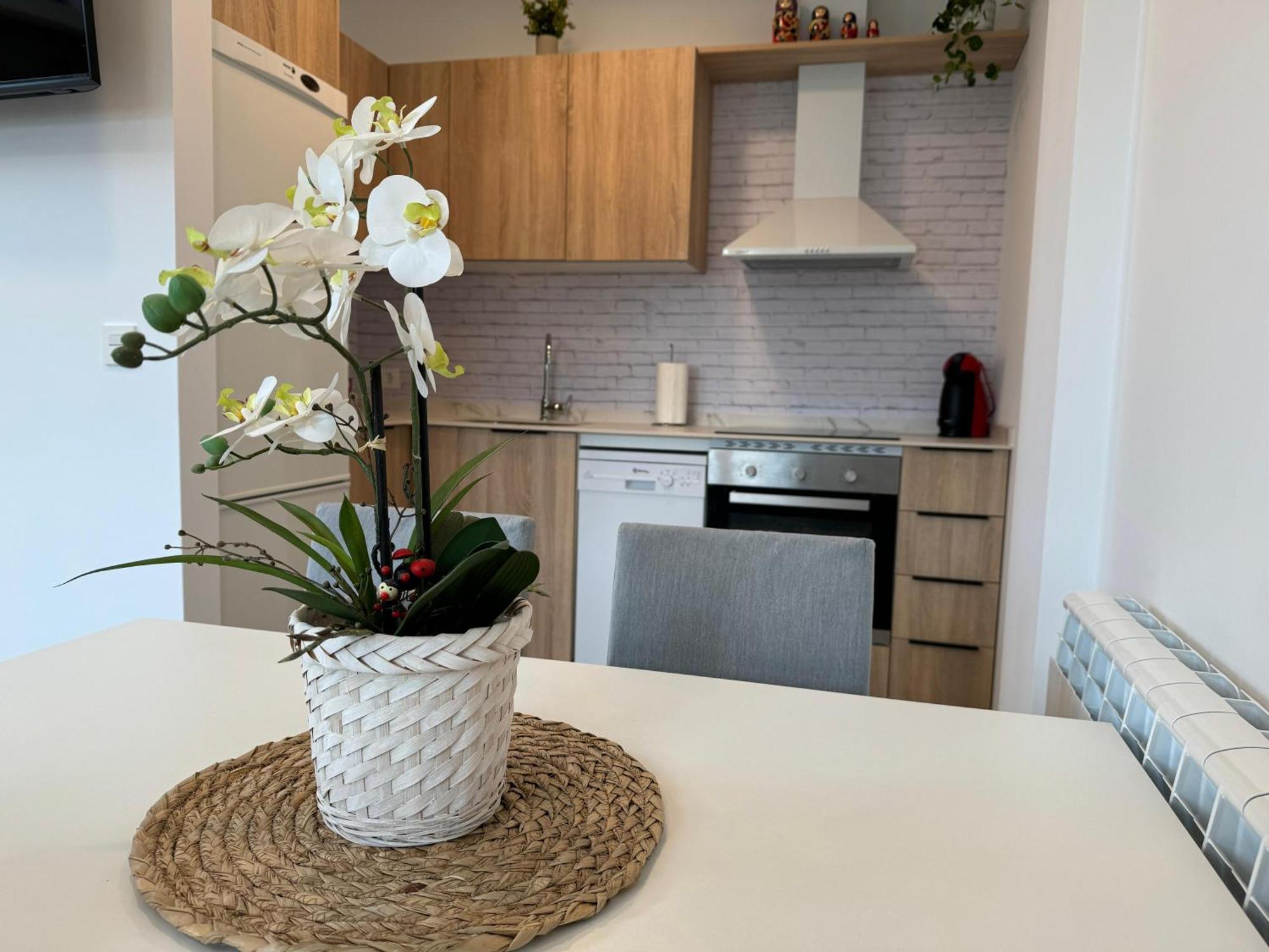 Apartamentos Montejurra Ayegui Εξωτερικό φωτογραφία